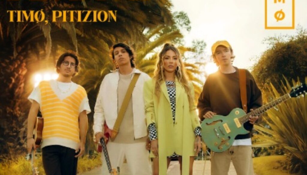Pitzion