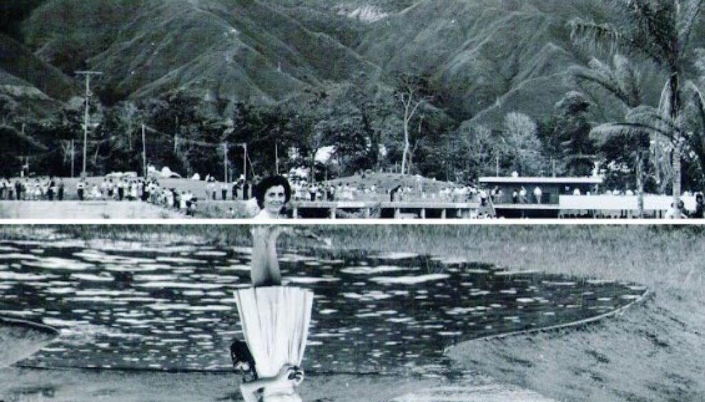 Captura de pantalla 2022-06-21 222117