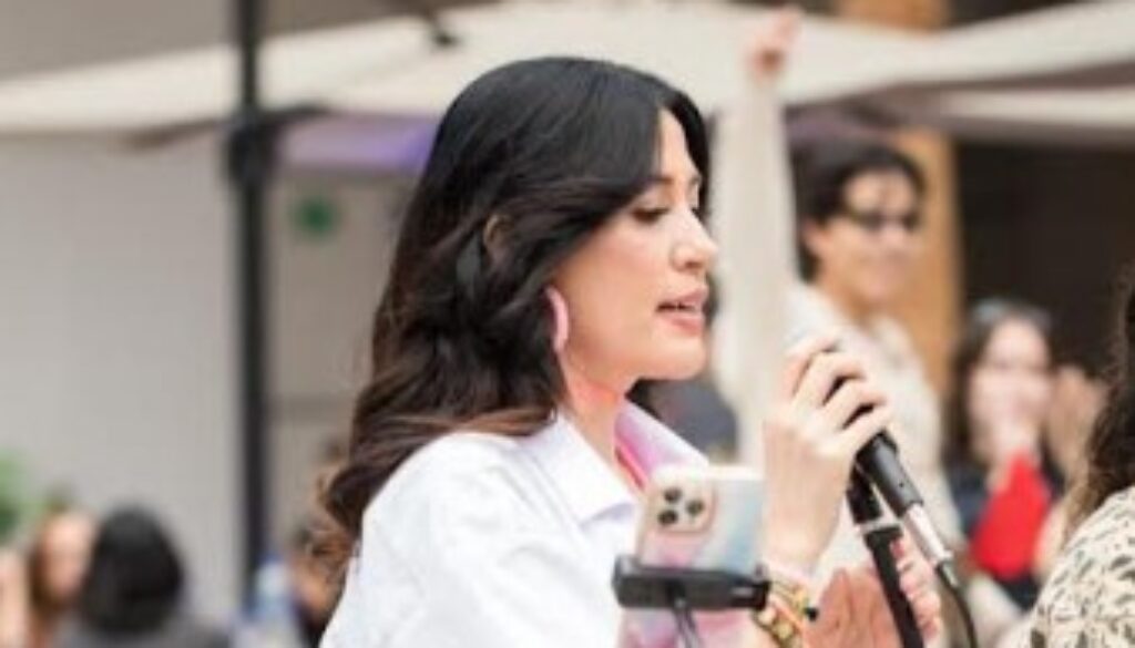 Captura de pantalla 2022-11-11 160208