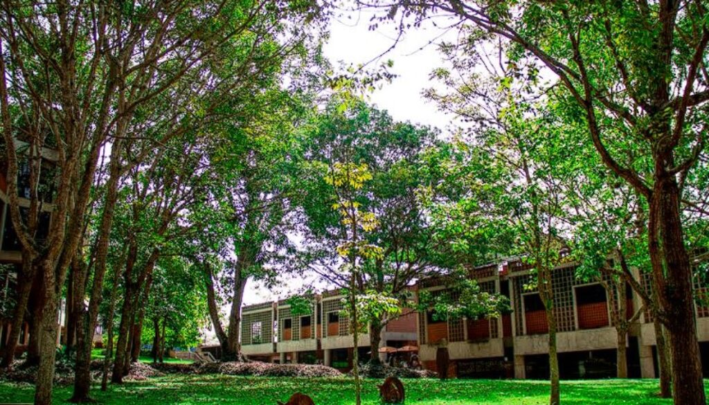 Captura de pantalla 2022-12-20 185001