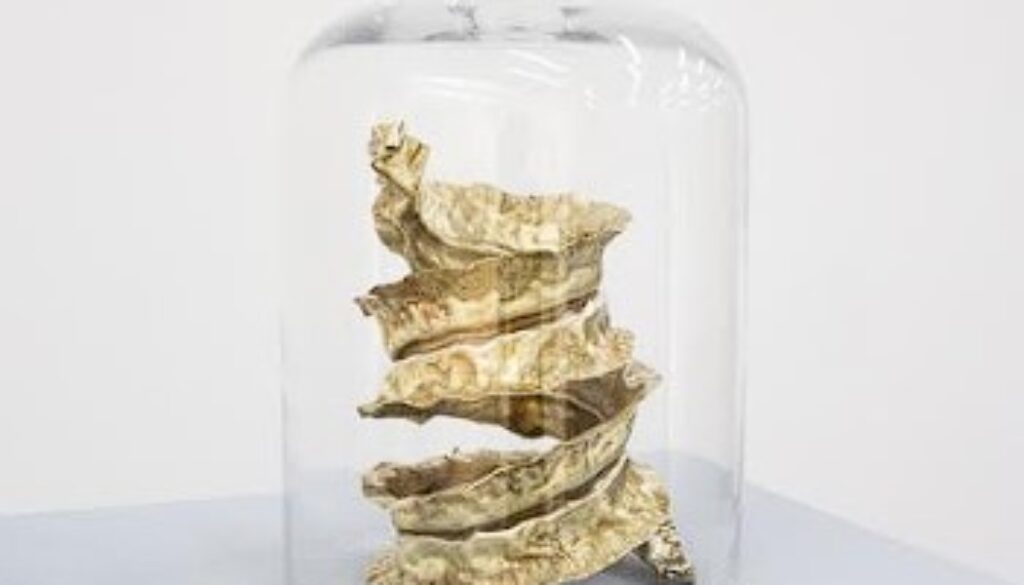 Captura de pantalla 2023-04-18 154112