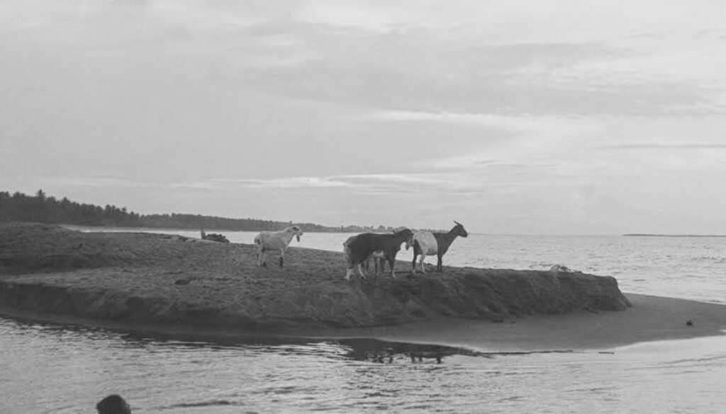 Captura de pantalla 2023-10-05 173138