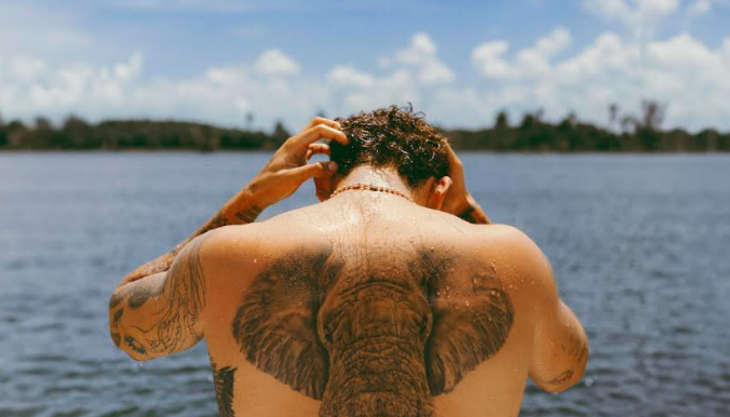 Captura de pantalla 2024-10-14 211153