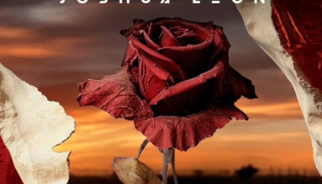 Captura de pantalla 2025-04-03 230254