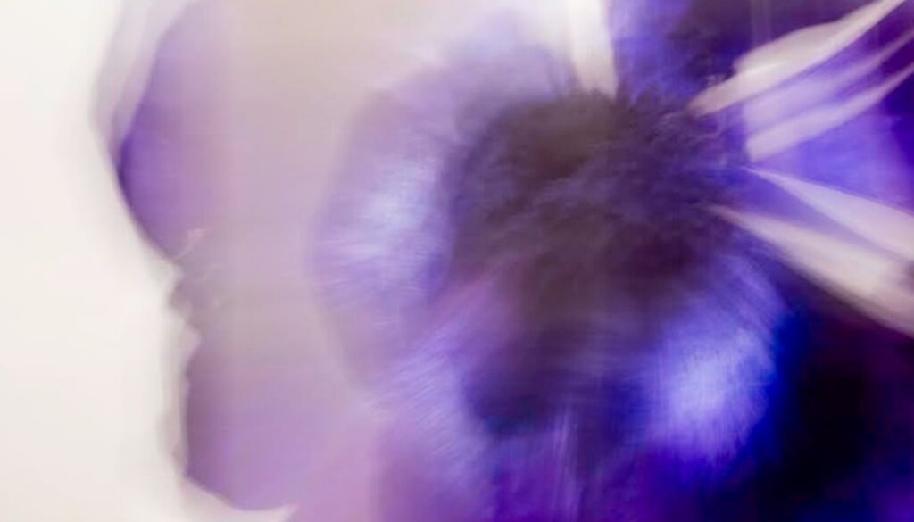 Captura de pantalla 2025-04-03 232228