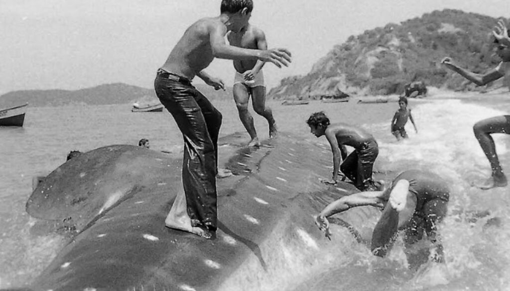 Captura de pantalla 2025-05-28 212040