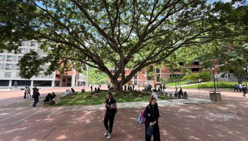 Captura de pantalla 2025-06-25 202023