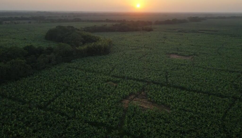 Captura de pantalla 2025-07-11 175423