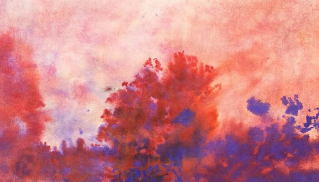 Captura de pantalla 2025-07-11 190621