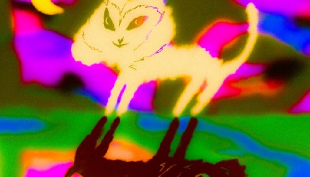 Captura de pantalla 2025-08-13 200029