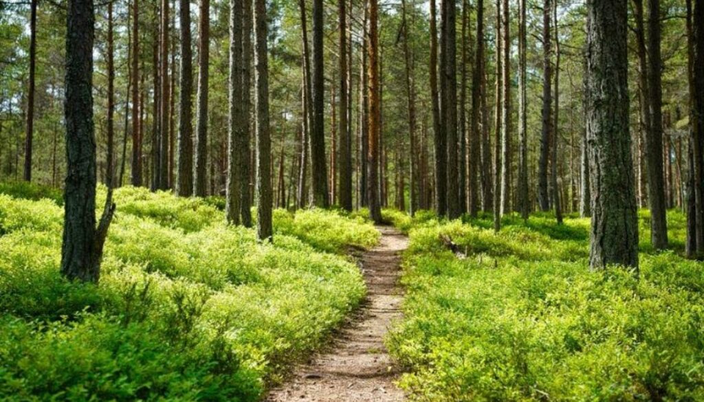 Captura de pantalla 2026-03-26 144145