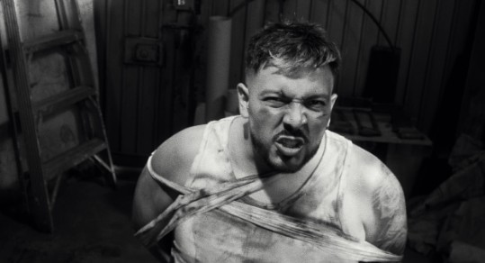 Captura de pantalla 2026-04-17 214932