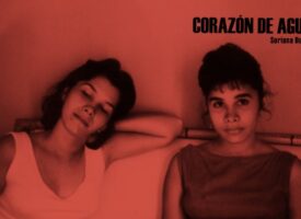 Captura de pantalla 2026-04-17 215556