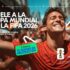 Captura de pantalla 2026-06-10 233750